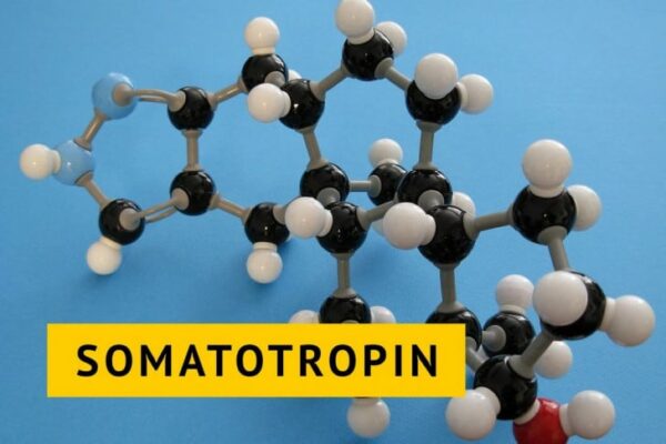 Гормон роста: спектр возможностей и влияние на организм – статья на steroidon.com